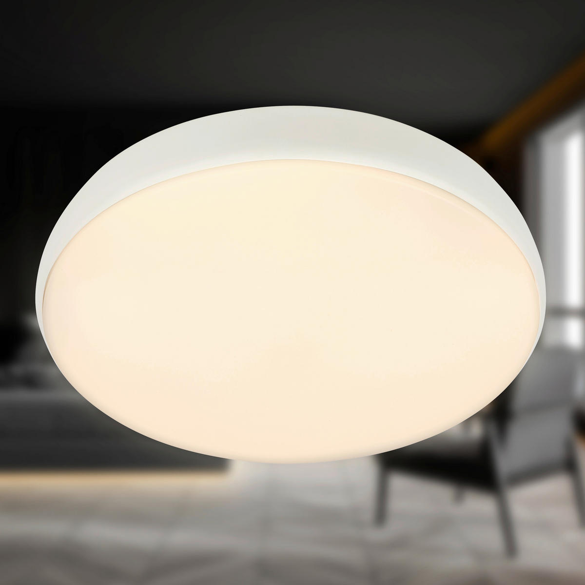 STROPNÉ LED SVIETIDLO, 35/8,5 cm  - biela, Basics, kov/plast (35/8,5cm)