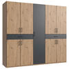 DREHTÜRENSCHRANK in Graphitfarben, Eiche Artisan  - Schwarz/Graphitfarben, Konventionell, Holzwerkstoff/Kunststoff (225/208/58cm) - Carryhome