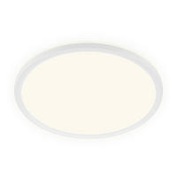 LED-PANEEL 48/10 cm   - Weiß, Basics, Kunststoff (48/10cm)