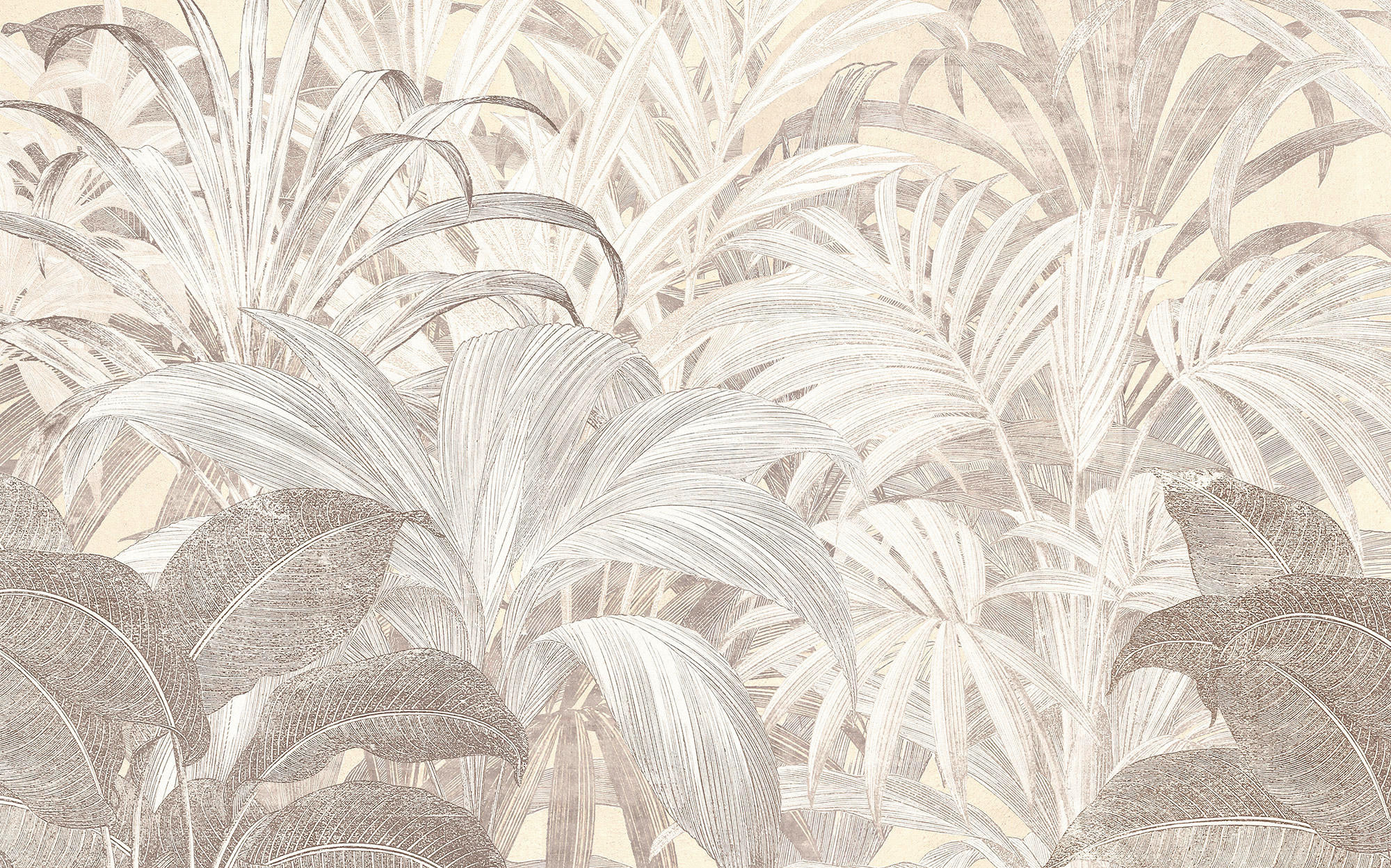 Xora Vliestapete Braun, Weiß 400x250 cm