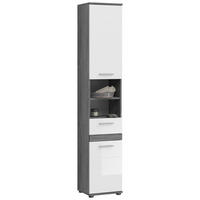 VYSOKÁ SKŘÍŇ, vysoce lesklá bílá, šedá, vysoce lesklá bílá, 35/191/31 cm - šedá/barvy stříbra, Moderní, kompozitní dřevo/plast (35/191/31cm) - MID.YOU