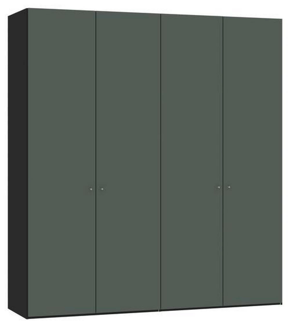 DREHTÜRENSCHRANK 203/220/59 cm 4-türig Grau, Grün, Schwarz  - Silberfarben/Schwarz, Design, Glas/Holzwerkstoff (203/220/59cm) - Jutzler