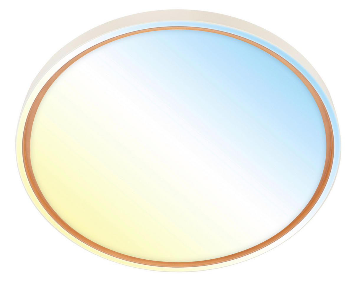 STROPNA LED-SVETILKA  INO /5200 lm/3000-6500 K// - svetlo rjava/svetlo siva, Basics, kovina/umetna masa (49,5/6,5cm)