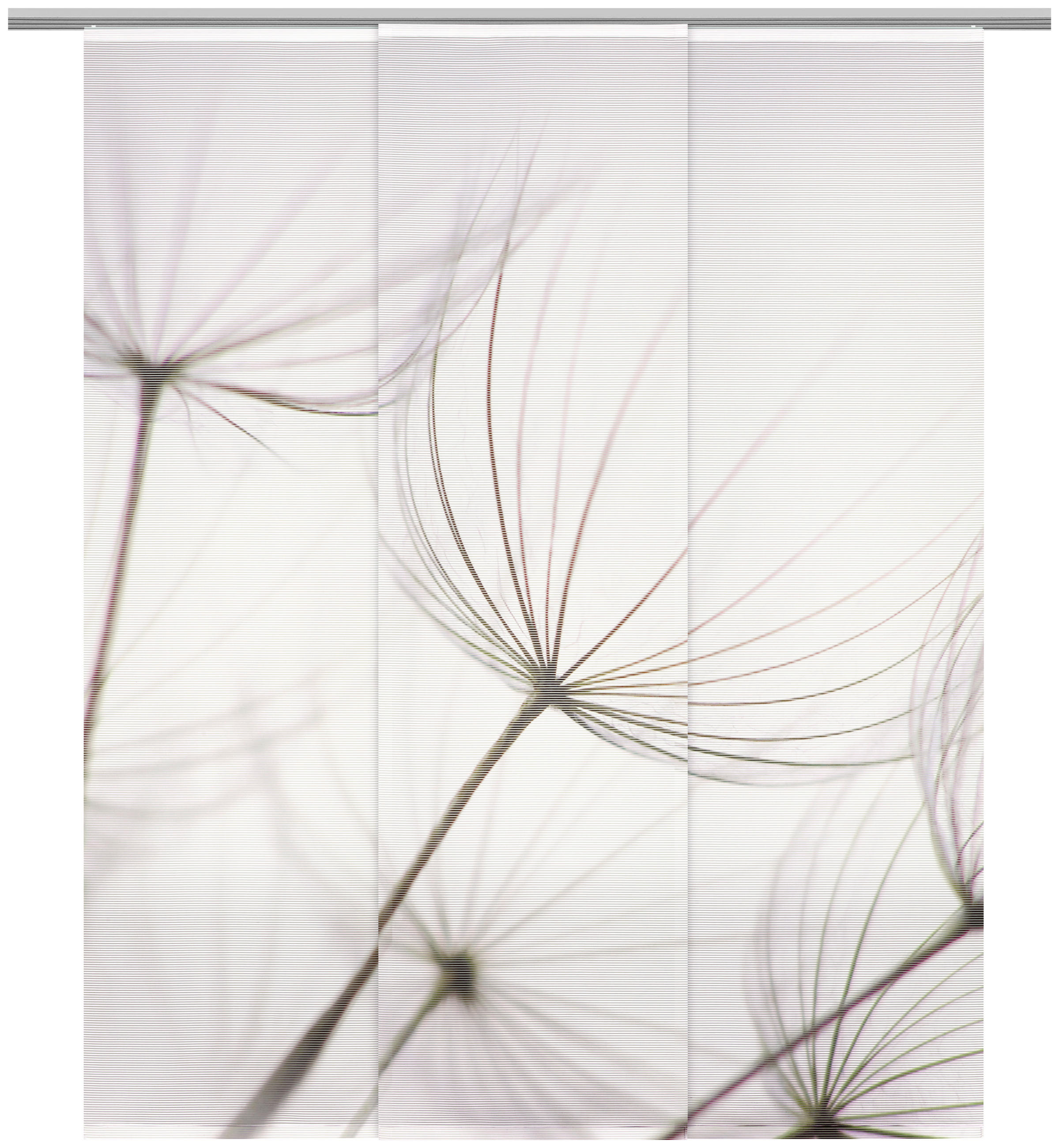 FLÄCHENVORHANG in Grau transparent  - Grau, Design, Textil (60/255cm) - Novel