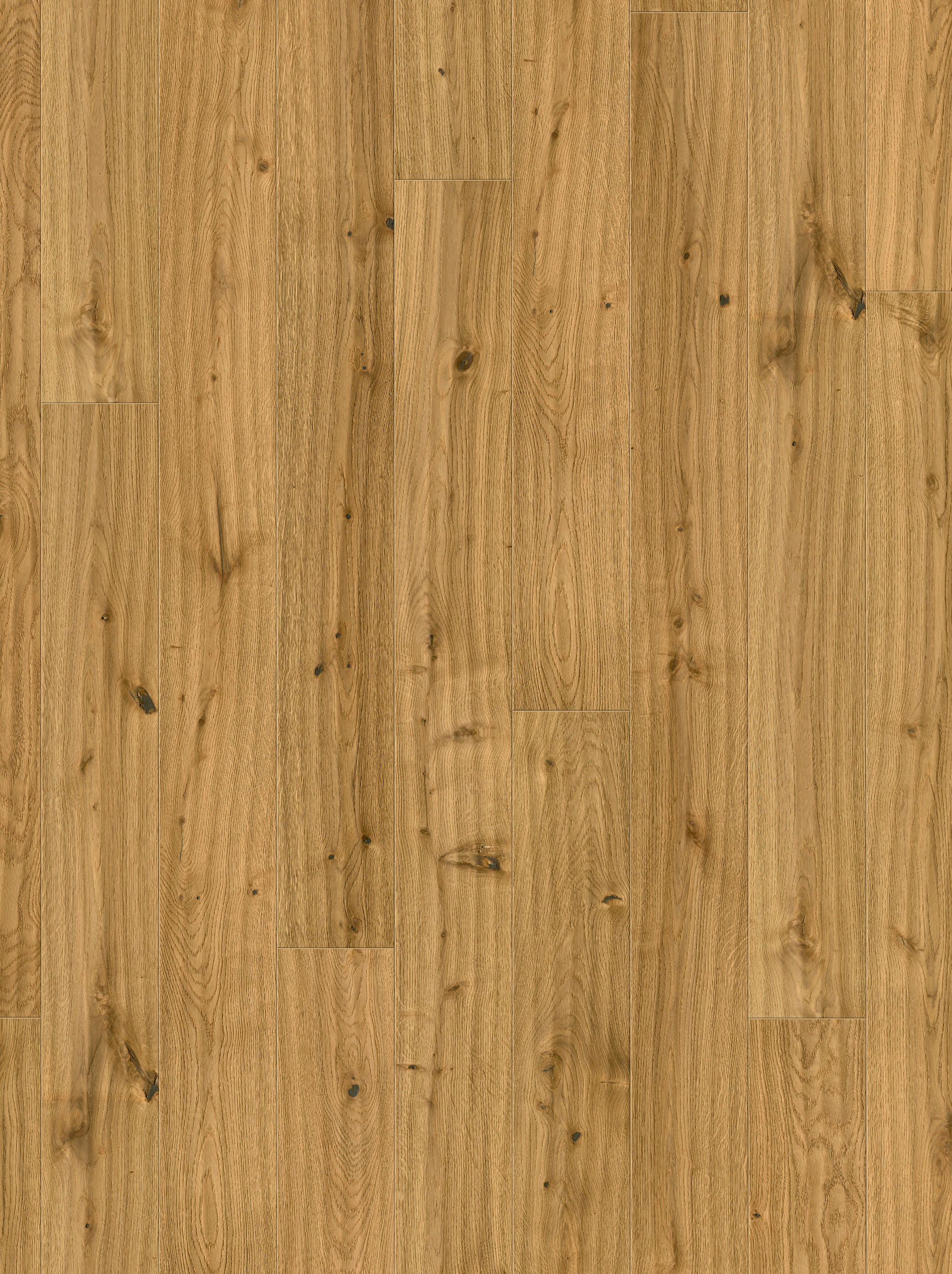 PARKETTBODEN Parkett Trendtime 8  per  m² - Eichefarben, Basics, Holz (220/18.5/1.3cm) - Parador