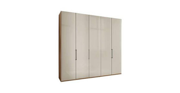 FALTTÜRENSCHRANK 250/216/58 cm 5-türig  - Schieferfarben/Eiche Bianco, KONVENTIONELL, Glas/Holzwerkstoff (250/216/58cm) - Dieter Knoll