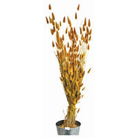 TROCKENBLUMENSTRAUSS  - Gelb, Basics, Naturmaterialien (50cm)