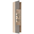 WOHNWAND 4-teilig  in Grau, Eichefarben  284/204/41 cm  - Eichefarben/Schwarz, KONVENTIONELL, Glas/Holzwerkstoff (284/204/41cm) - Carryhome