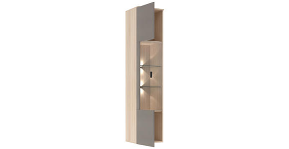 WOHNWAND 4-teilig  in Grau, Eichefarben  284/204/41 cm  - Eichefarben/Schwarz, KONVENTIONELL, Glas/Holzwerkstoff (284/204/41cm) - Carryhome