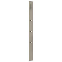 GARDEROBENPANEEL  in 10/165/5 cm  - Sandfarben, Design, Holzwerkstoff/Metall (10/165/5cm) - Moderano