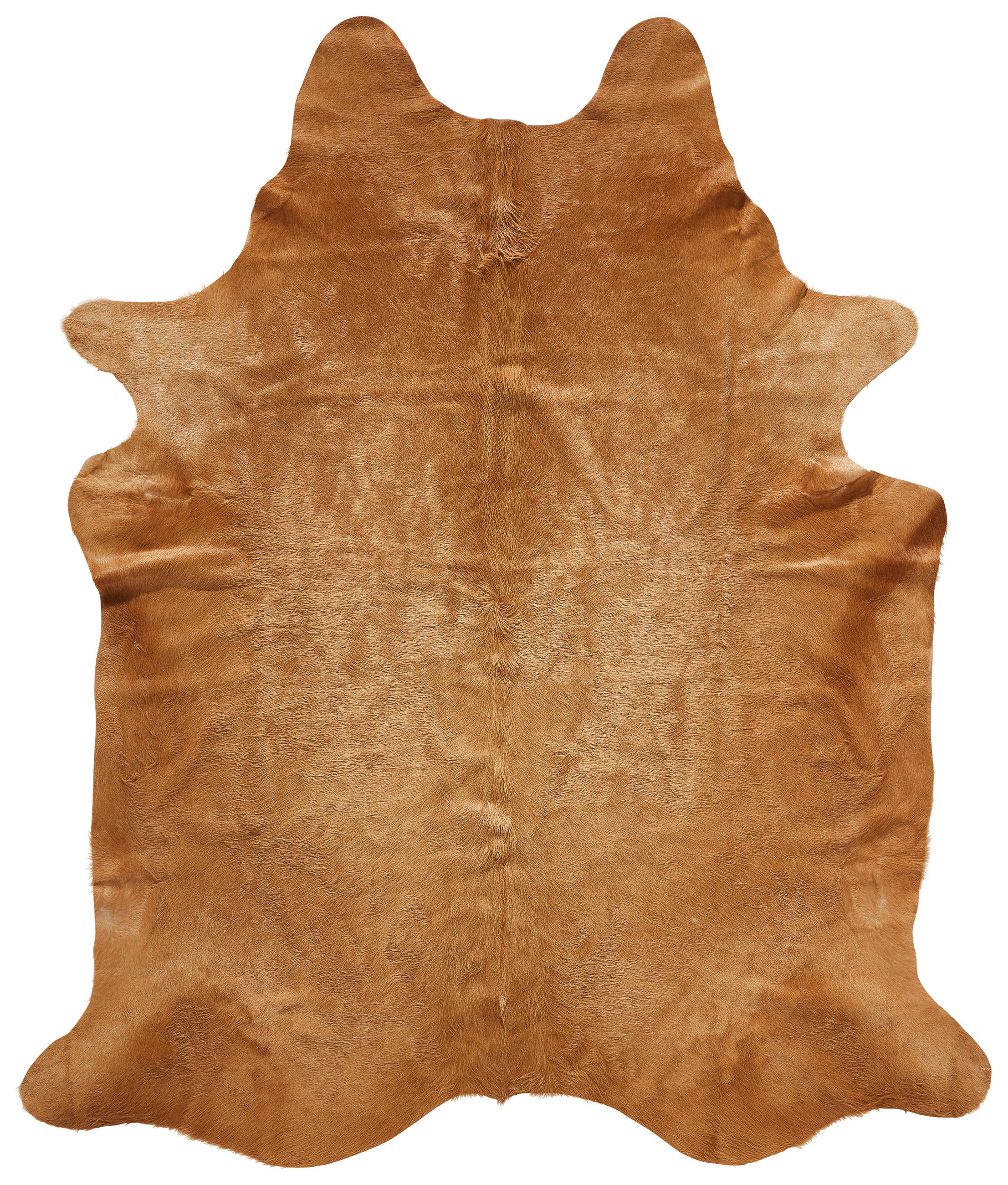 HOVĚZÍ KOŽEŠINA, 160/250 cm, přírodní barvy, béžová - přírodní barvy/béžová, Basics, kožešina/kůže (160/250cm) - Linea Natura