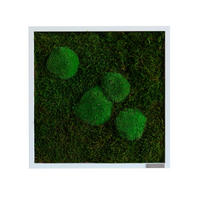 MOOSBILD  - Weiss/Grün, Basics, Naturmaterialien/Holz (35/35/6cm)
