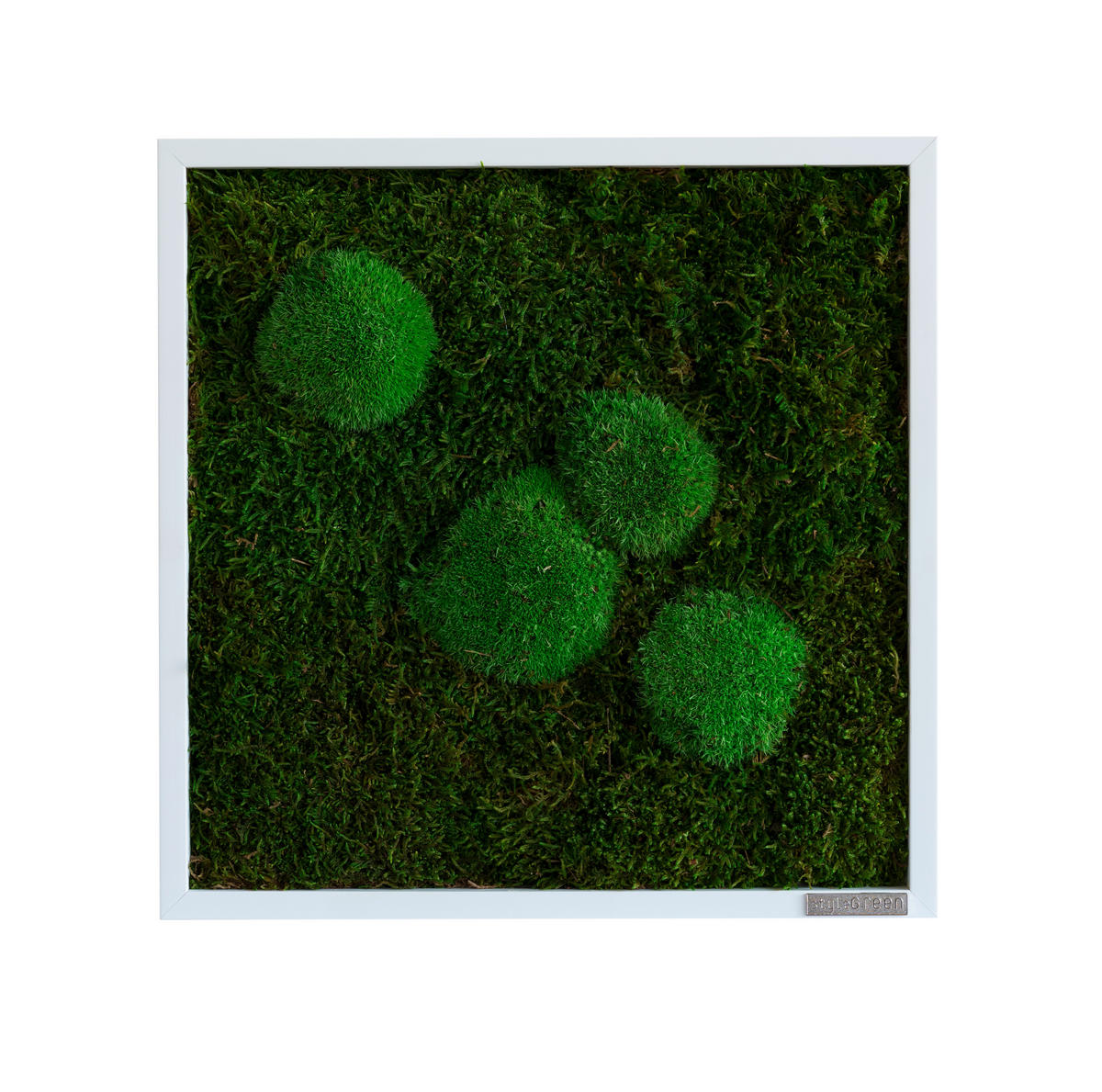 MOOSBILD  - Weiss/Grün, Basics, Naturmaterialien/Holz (35/35/6cm)