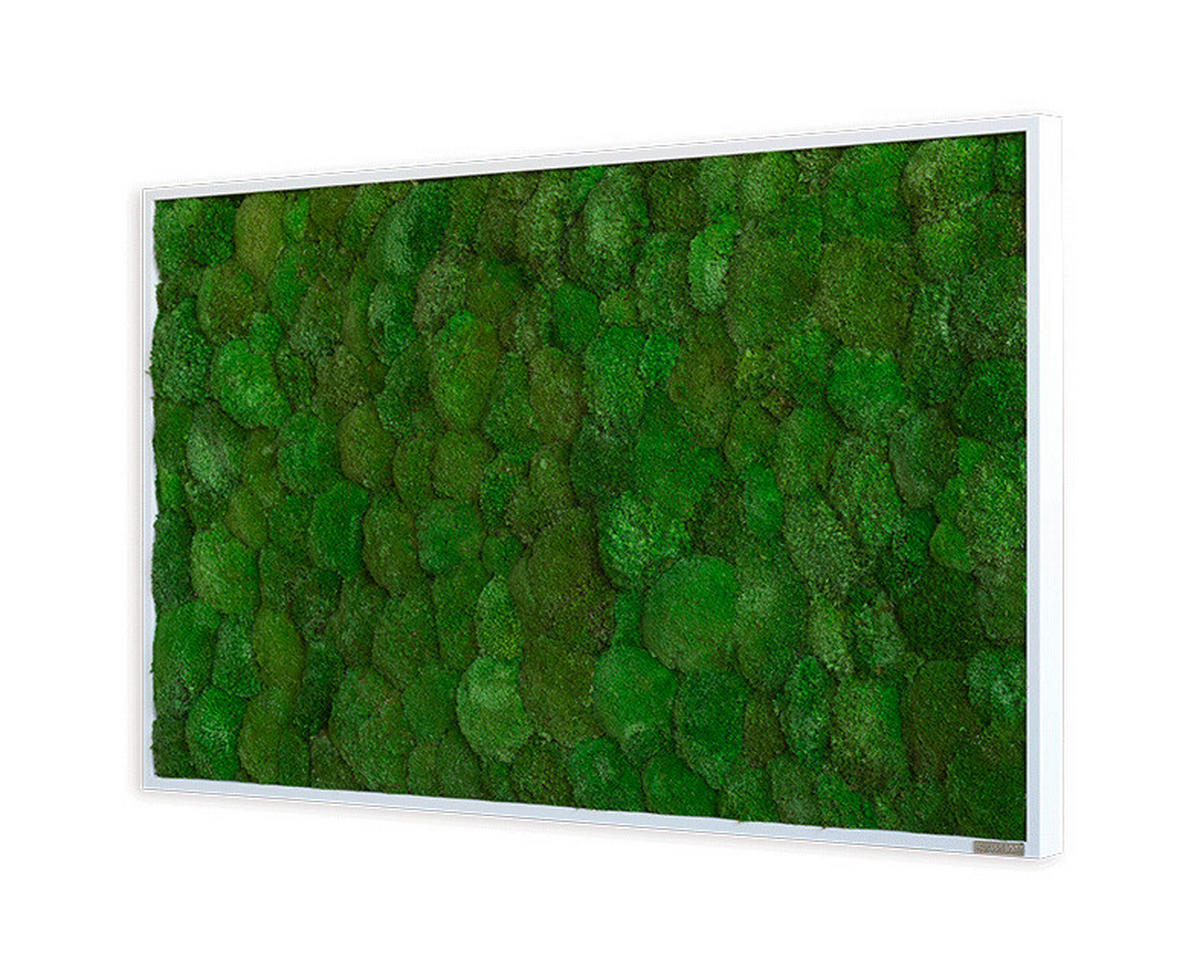 MOOSBILD Stylegreen  - Weiß/Grün, Basics, Naturmaterialien/Holz (100/60/7cm)