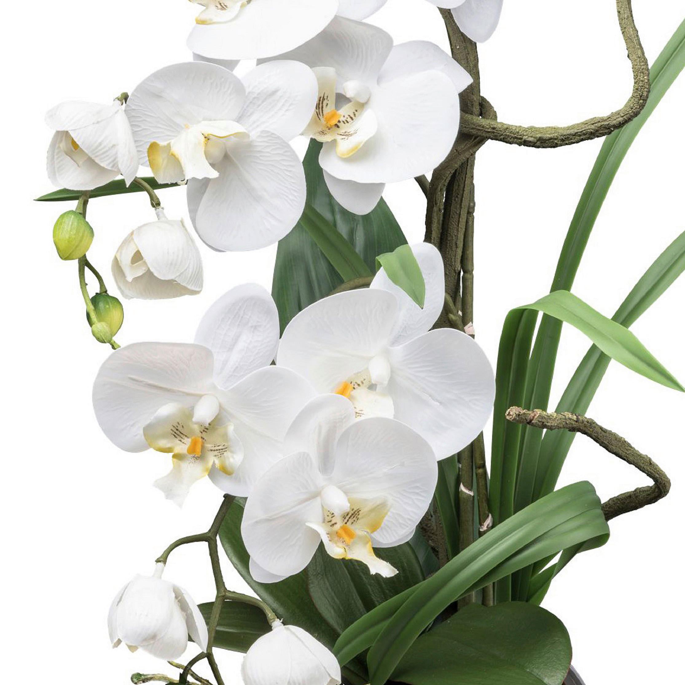 KUNSTPFLANZE Orchidee 68 cm  - Silberfarben/Weiß, Design, Keramik/Kunststoff (68cm) - P & B