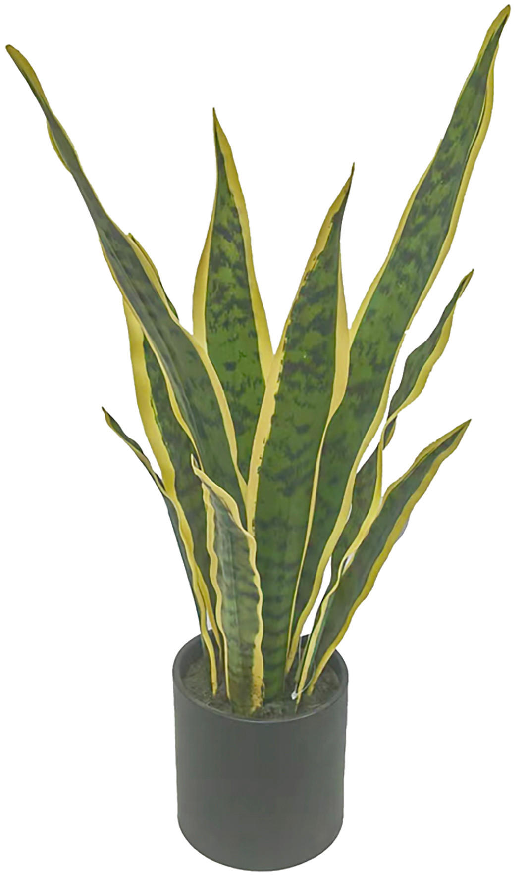 KUNSTPFLANZE Bogenhanf 54 cm  - Smaragdgrün/Hellgelb, Basics, Kunststoff (54cm) - Ambia Home