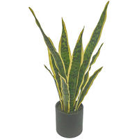 KUNSTPFLANZE Bogenhanf 54 cm  - Smaragdgrün/Hellgelb, Basics, Kunststoff (54cm) - Ambia Home