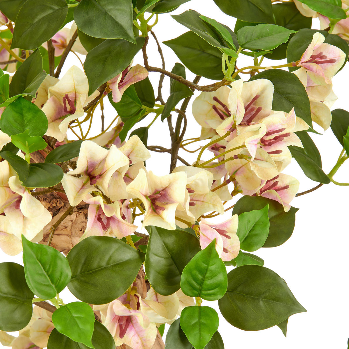 KUNSTBLUME Bougainvillea  - Creme/Schwarz, Basics, Holz/Kunststoff (130cm)
