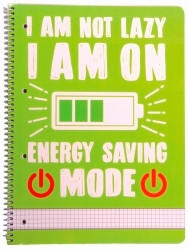 POZNÁMKOVÝ BLOK - Basics, papier (21/30cm)