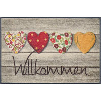 COVORAȘ DE INTRARE 50/75 cm  - multicolor, Konventionell, plastic/textil (50/75cm) - wash+dry