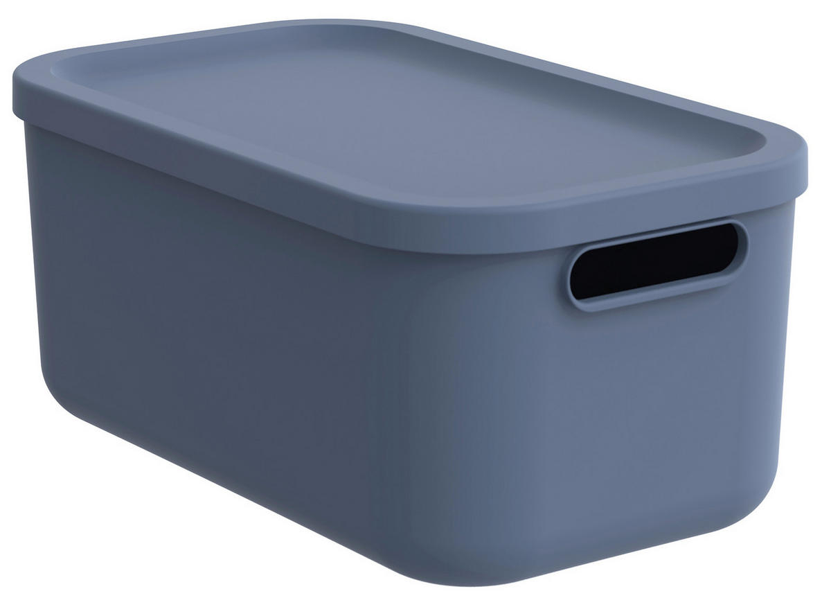 BOX S VEKOM, 12 l - pastelová modrá, Konventionell, plast (39,5/23,5/17,7cm) - Rotho