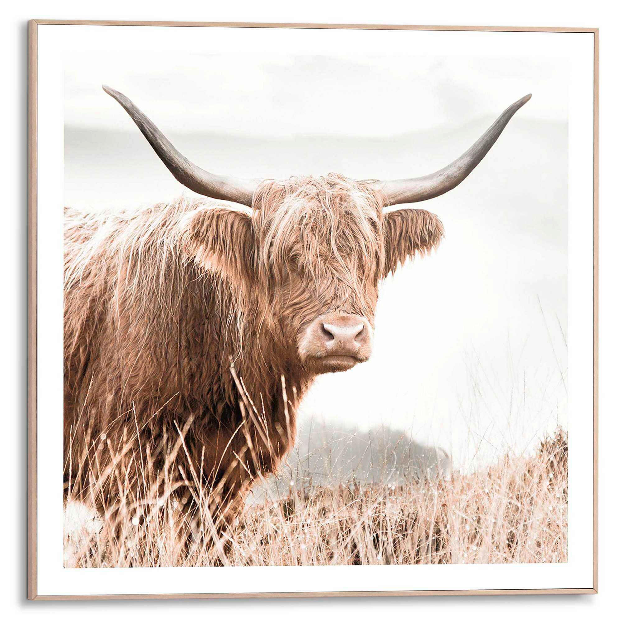 BILD 50/50 cm  - Braun, Trend, Holzwerkstoff (50/50cm) - Reinders!