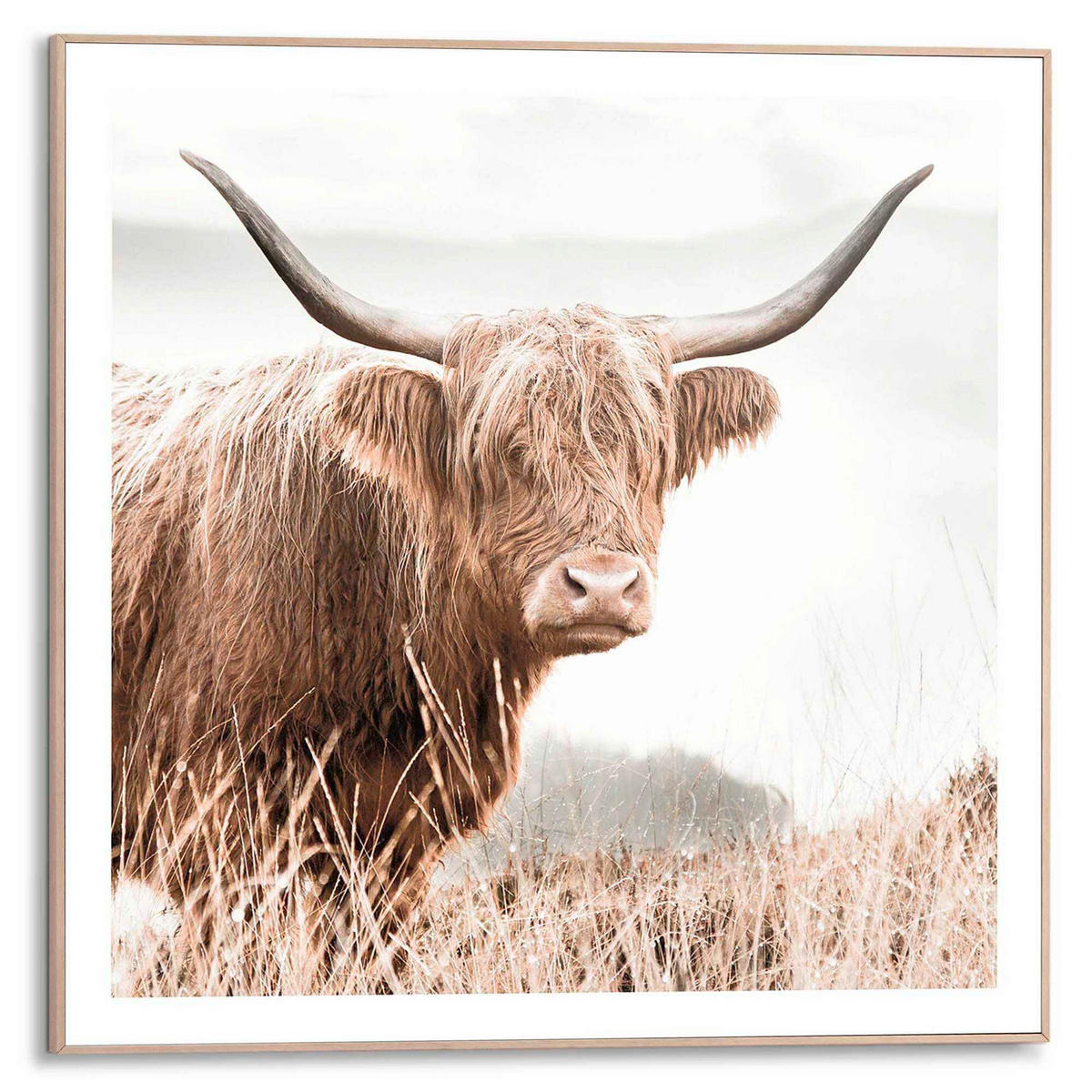 BILD 50/50 cm  - Braun, Trend, Holzwerkstoff (50/50cm) - Reinders!