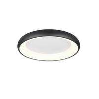 STROPNÍ LED SVÍTIDLO, 62/10 cm  - černá, Design, kov (62/10cm) - Trio Leuchten