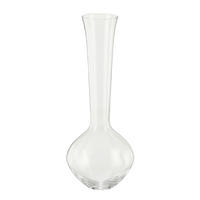 VAZA   19/50 cm    staklo  - providno, Osnovno, staklo (19/50cm)