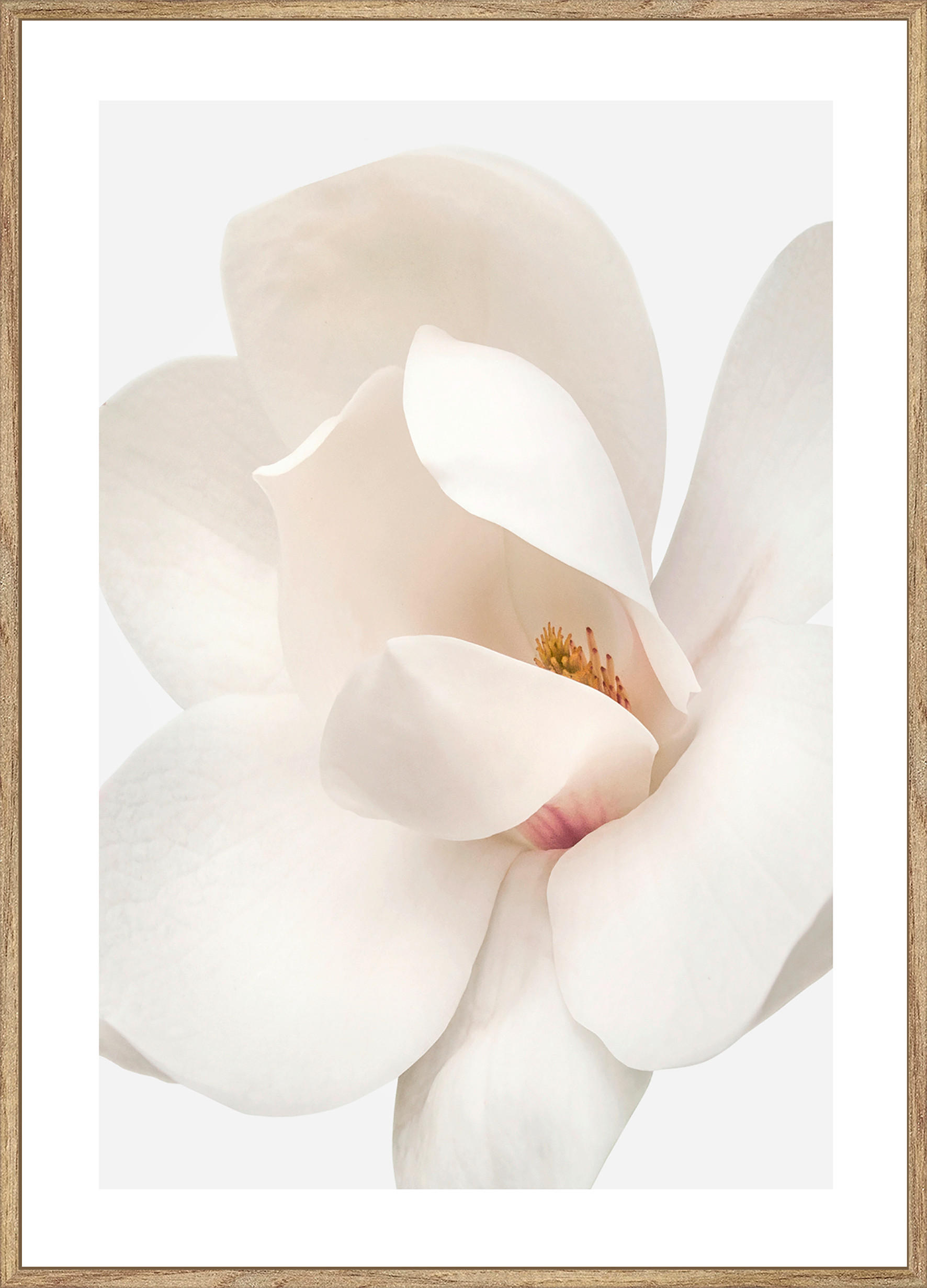 Monee UMELECKÁ TLAČ, kvety, 51,2/71,2 cm