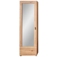 GARDEROBENSCHRANK  in 60/194/38 cm  - Eschefarben/Schwarz, Design, Glas/Holz (60/194/38cm) - Livetastic