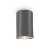 AUßENDECKENLEUCHTE Outdoor 10,8/15,5 cm  - Graphitfarben, Trend, Metall (10,8/15,5cm) - MAYTONI