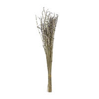 TROCKENBLUME - Naturfarben, Basics (55cm)