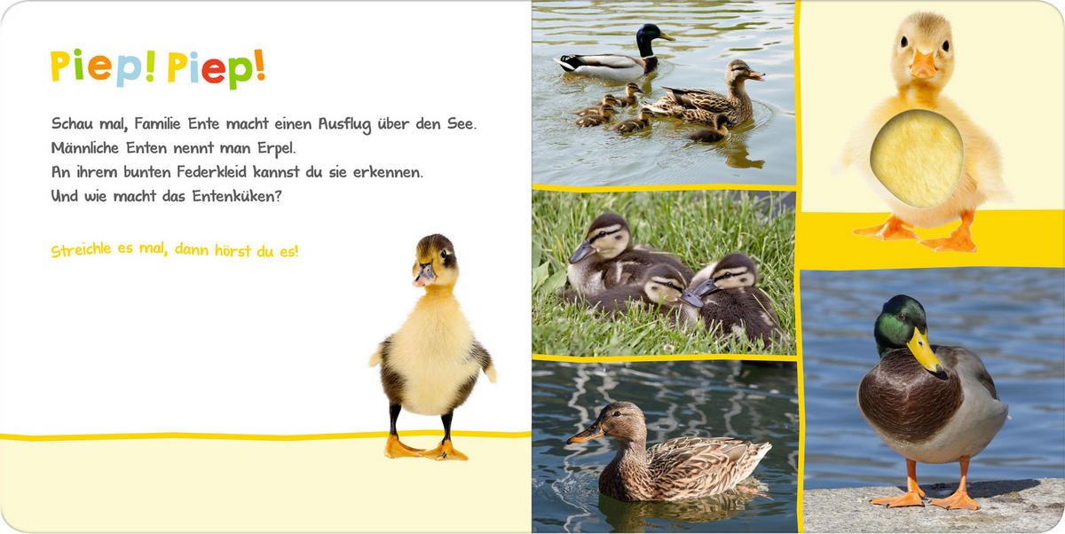 SOUNDBUCH - Basics (19,6/19,6cm)