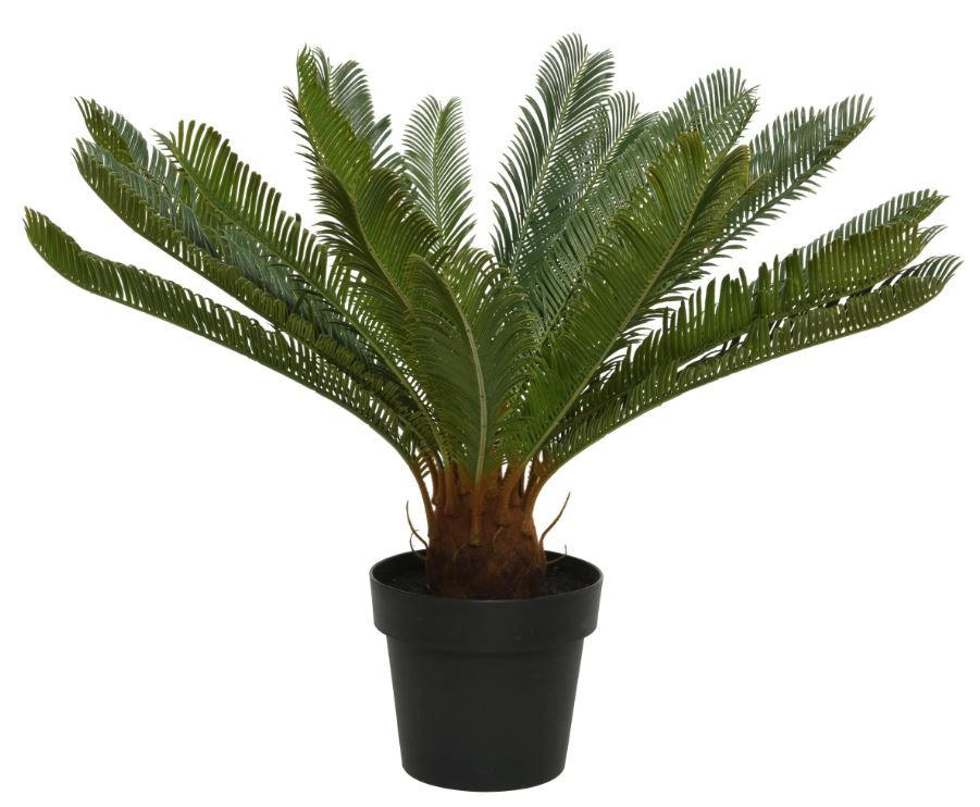 UMETNA RASTLINA        80/60 cm       - črna/zelena, Basics, kamen/kovina (80/60cm) - Ambia Home