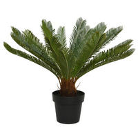 UMETNA RASTLINA        80/60 cm       - črna/zelena, Basics, kamen/kovina (80/60cm) - Ambia Home