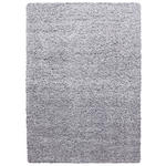 HOCHFLORTEPPICH 160/230 cm Life 1500 Hellgrau  - Hellgrau, KONVENTIONELL, Textil (160/230cm) - Novel