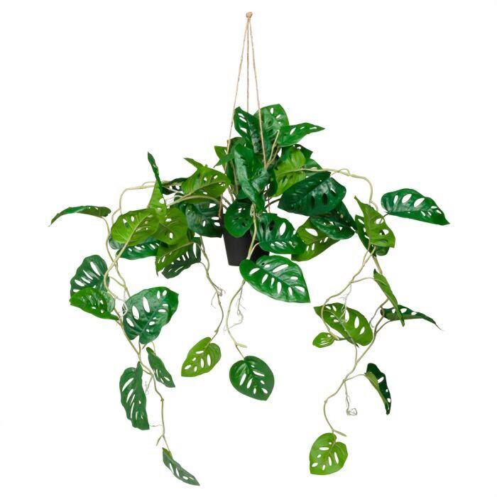 UMELÁ RASTLINA monstera  - hnedá/čierna, Modern, plast (75/100/63cm) - MID.YOU