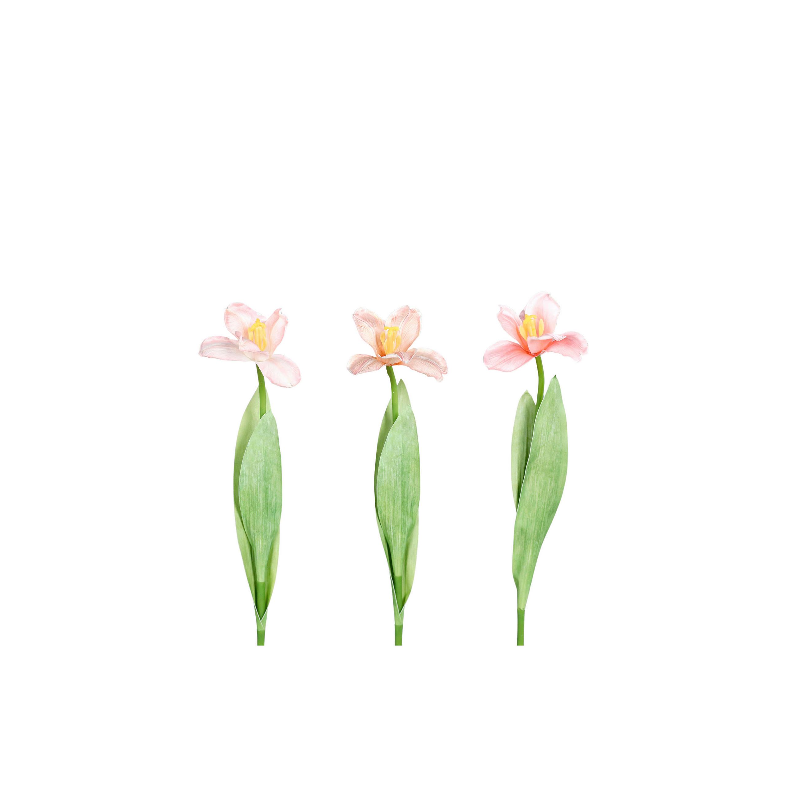 TULPE - Aprikose/Hellgrün, LIFESTYLE, Kunststoff/Textil (49cm)