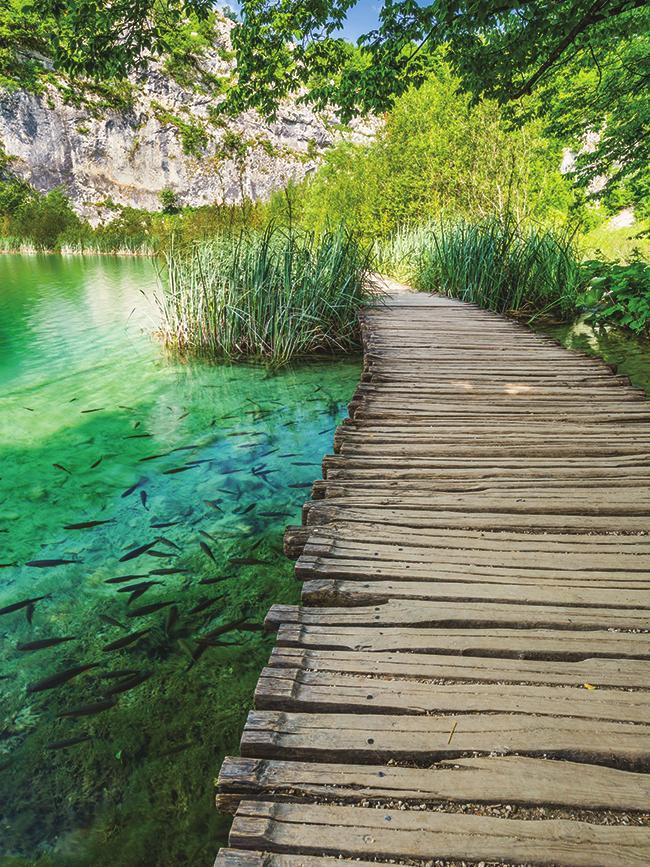 Keilrahmenbild 60/80 cm