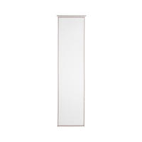 FLÄCHENVORHANG   halbtransparent  60/245 cm   - Taupe, Basics, Textil (60/245cm) - Novel