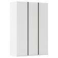 DREHTÜRENSCHRANK 151/223/61 cm,  in Weiß, 3-türig  - Graphitfarben/Weiß, Basics, Holzwerkstoff/Metall (151/223/61cm) - Novel