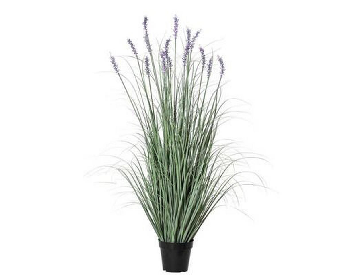 LAVANDA           120 cm   - tamnozelena, Osnovno, plastika (120cm)