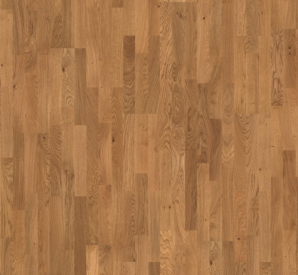 PARKETTBODEN Parkett Basic 11-5 Rustikal  per  m² - Eichefarben, Basics, Holz (220/18.5/1.15cm) - Parador