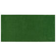 RASENTEPPICH - Grün, Basics, Kunststoff/Textil (133/200cm) - Boxxx