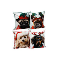 DEKORAČNÍ POLŠTÁŘ 45/45 cm - vícebarevná, Basics, textil (45/45cm)