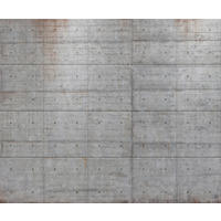 VLIESTAPETE - Multicolor, Basics (300/250cm) - Komar
