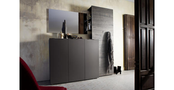 SCHUHSCHRANK 120/101/39 cm - Edelstahlfarben/Anthrazit, Design, Holzwerkstoff/Kunststoff (120/101/39cm) - Carryhome