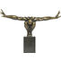 SKULPTUR - Schwarz/Bronzefarben, Design, Stein/Metall (75/45/21cm) - KARE-Design