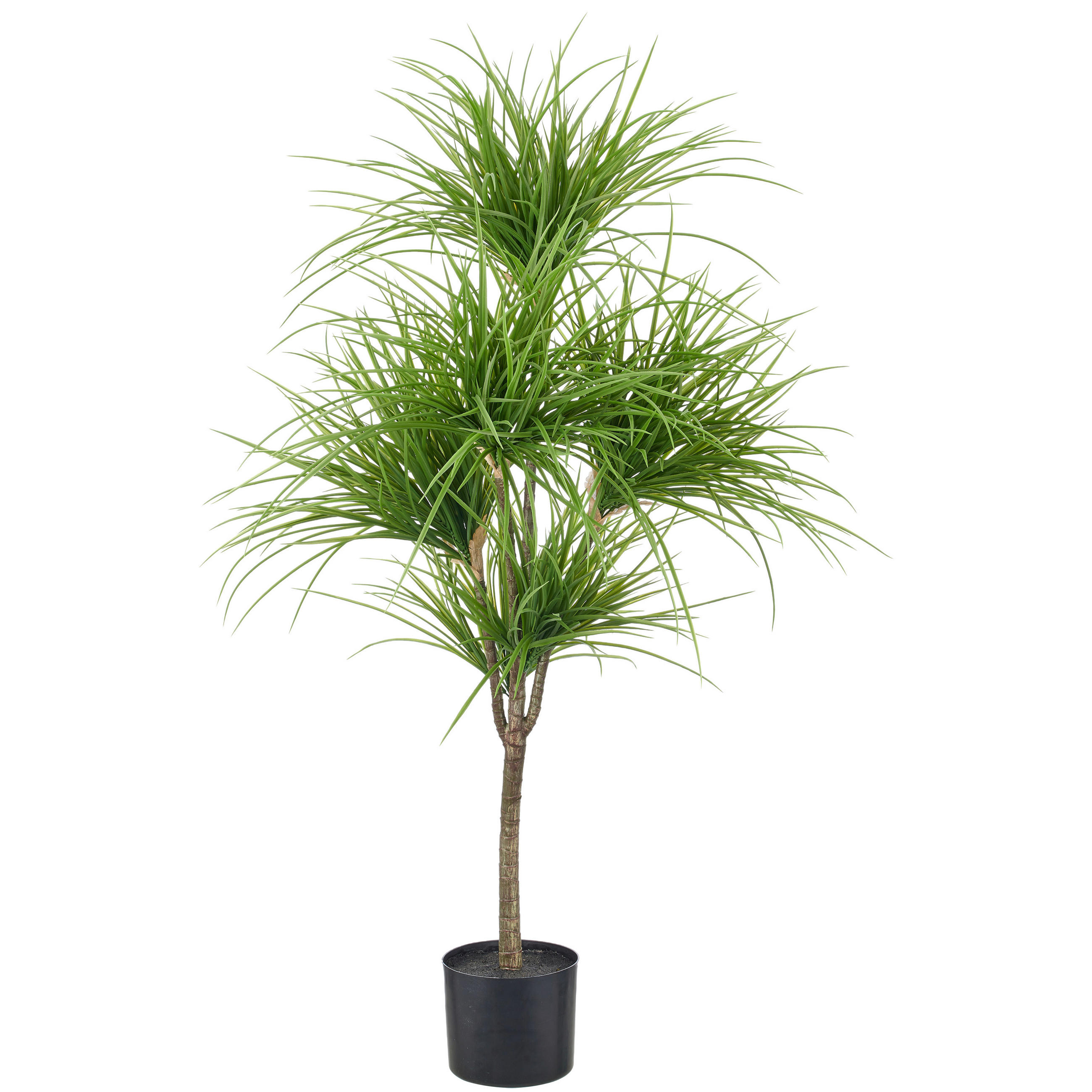 KUNSTPFLANZE Drachenbaum 125 cm  - Graubraun/Schwarz, Basics, Kunststoff (125cm)